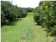 1 Alexander Road, Mcleans Ridges NSW 2480