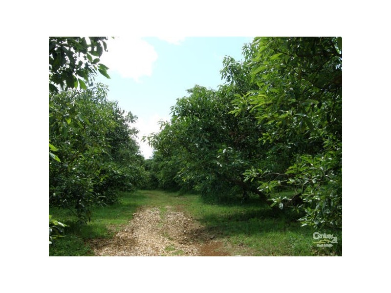 Alstonville NSW 2477