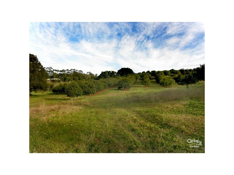 1799 Dunoon Road, Dunoon NSW 2480