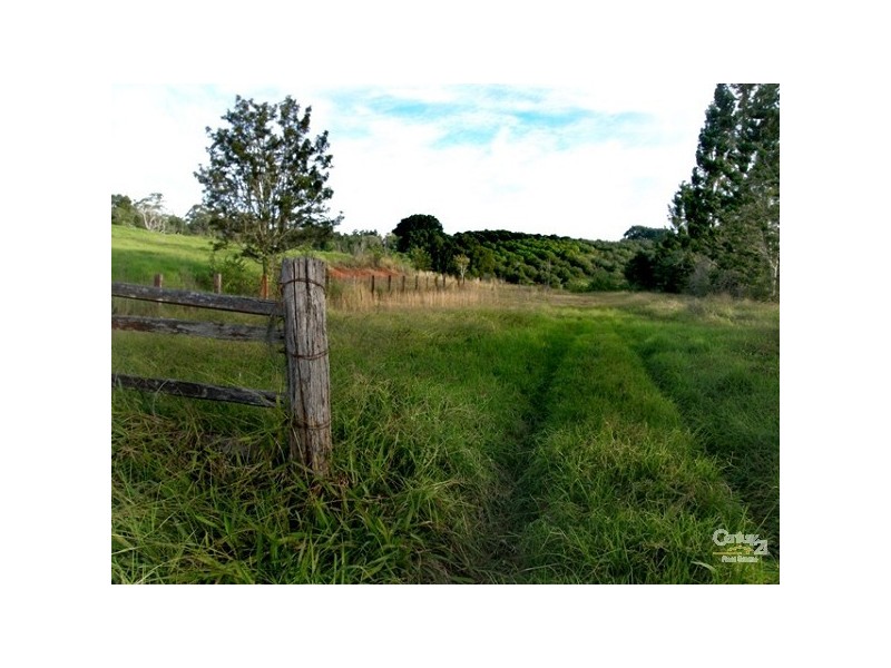 1799 Dunoon Road, Dunoon NSW 2480