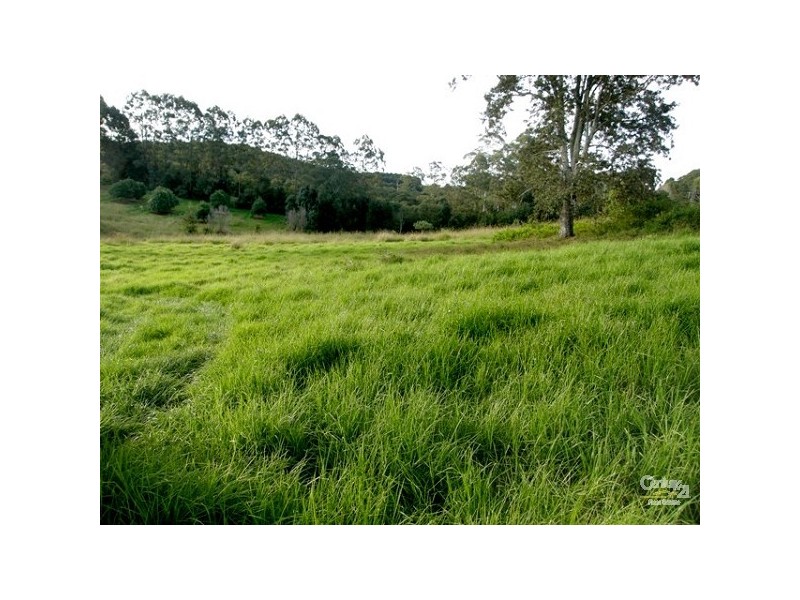 1799 Dunoon Road, Dunoon NSW 2480