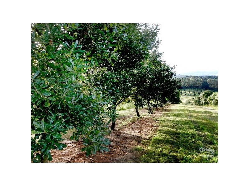 1799 Dunoon Road, Dunoon NSW 2480