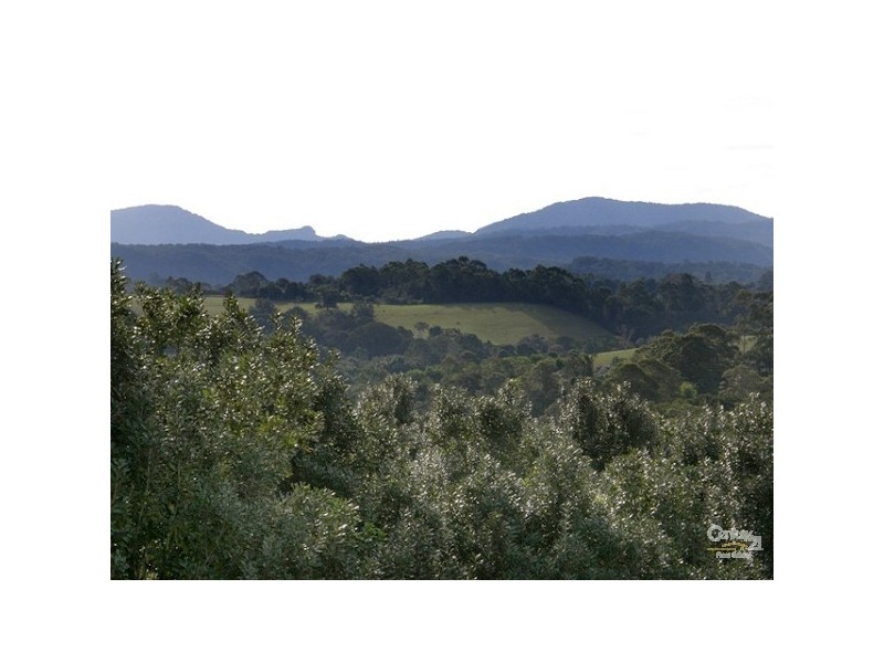 1799 Dunoon Road, Dunoon NSW 2480