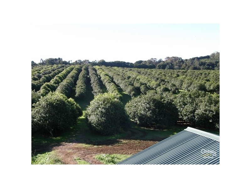 460 Eureka Road, Eureka NSW 2480