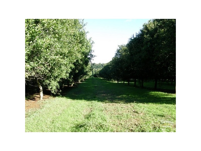 460 Eureka Road, Eureka NSW 2480