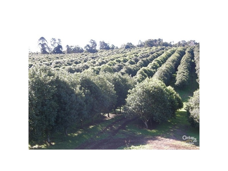 460 Eureka Road, Eureka NSW 2480