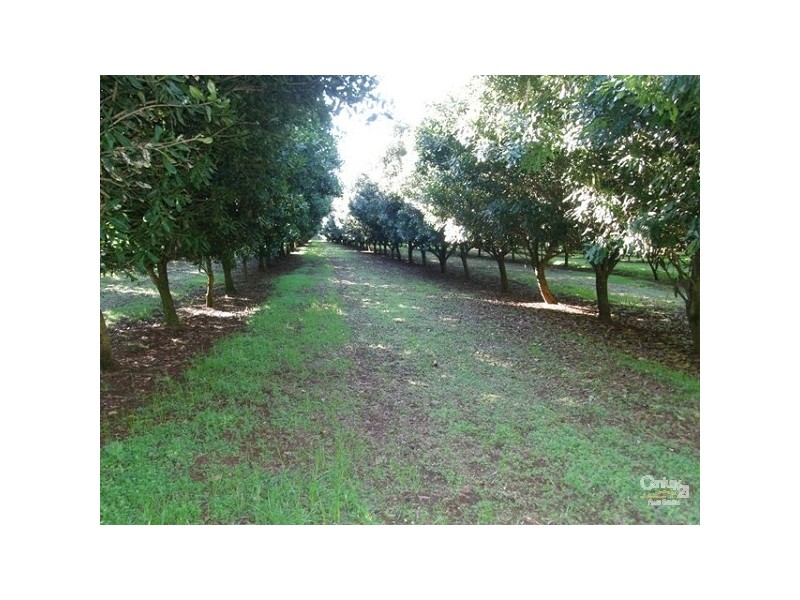 460 Eureka Road, Eureka NSW 2480