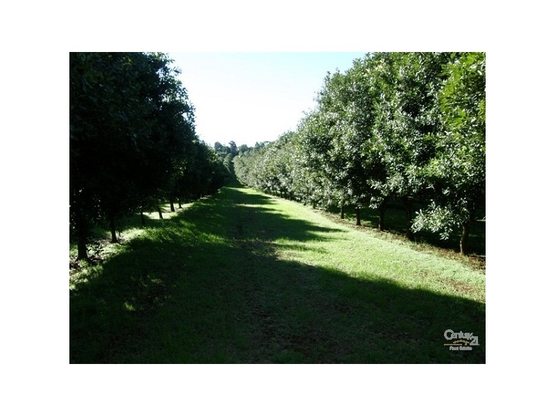 460 Eureka Road, Eureka NSW 2480