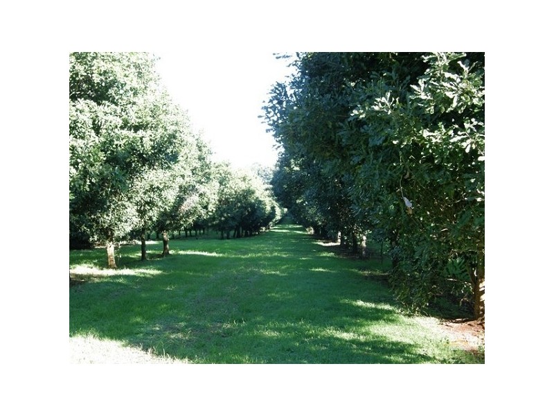 460 Eureka Road, Eureka NSW 2480