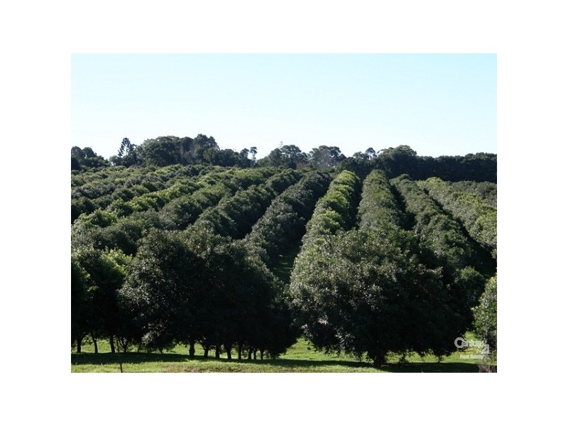 460 Eureka Road, Eureka NSW 2480