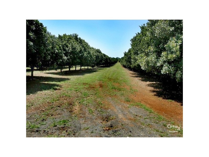 50 Leadbeatters Lane, Alstonville NSW 2477