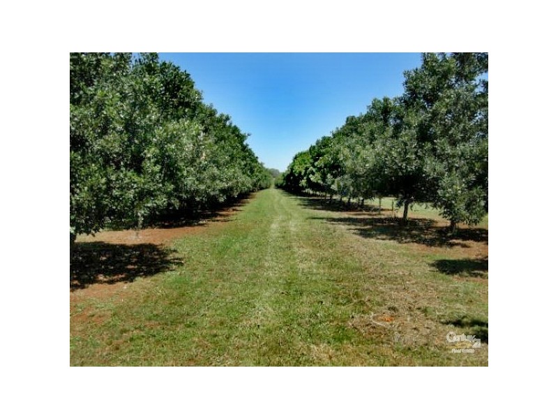 50 Leadbeatters Lane, Alstonville NSW 2477