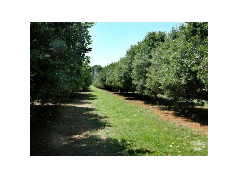 50 Leadbeatters Lane, Alstonville NSW 2477