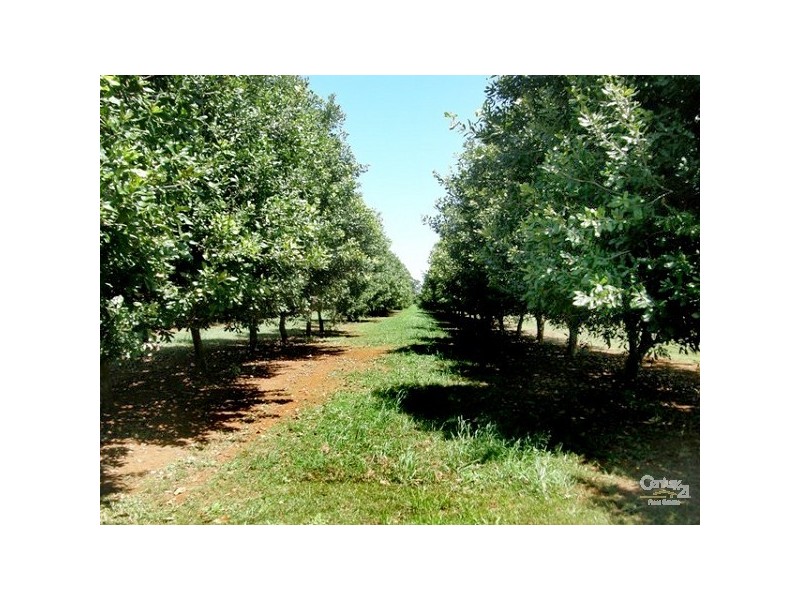 50 Leadbeatters Lane, Alstonville NSW 2477