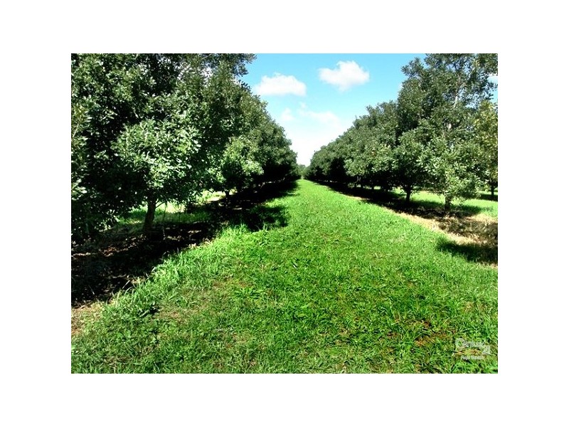 50 Leadbeatters Lane, Alstonville NSW 2477