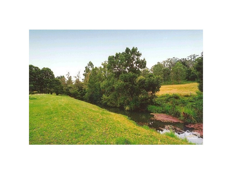 1342 Jiggi Road,, Georgica NSW 2480