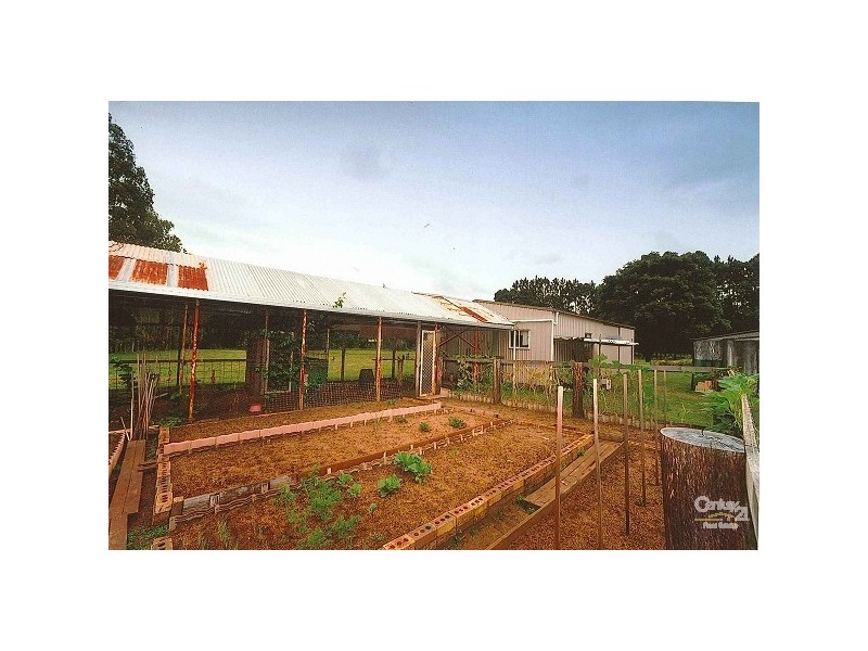 1342 Jiggi Road,, Georgica NSW 2480