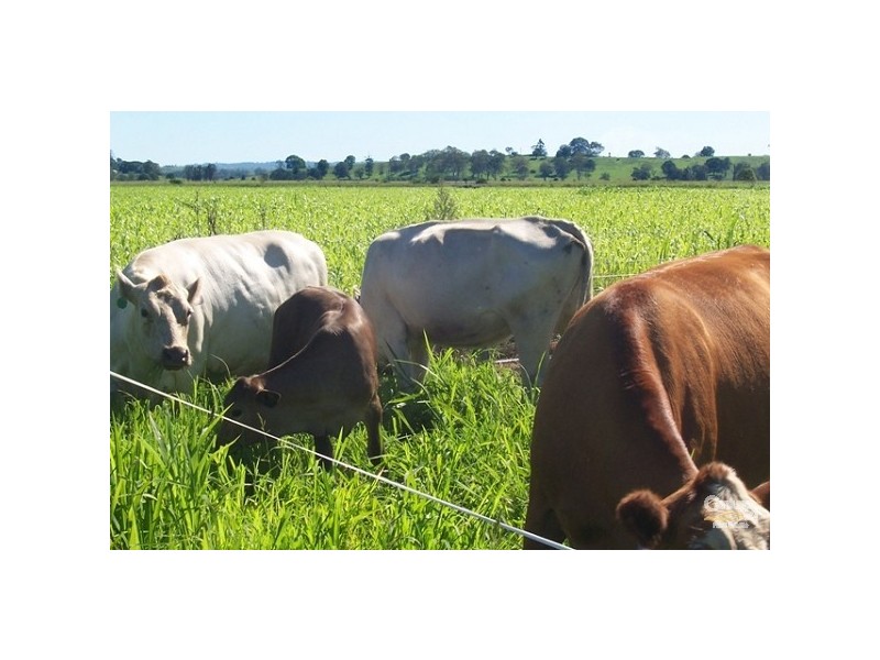 508 Tatham Road, Lismore NSW 2480