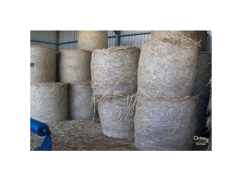 508 Tatham Road, Lismore NSW 2480