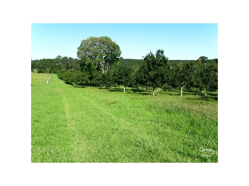 23 Willis Road, Tregeagle NSW 2480