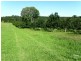 23 Willis Road, Tregeagle NSW 2480