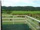 Pimlico NSW 2478