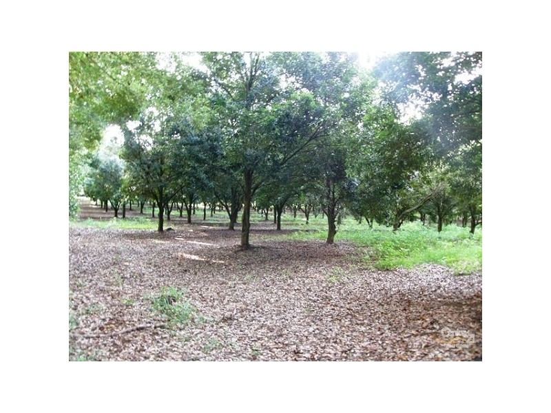 Boundary Road, Lindendale NSW 2480