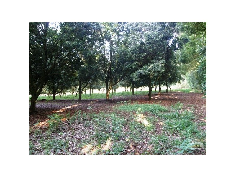 Boundary Road, Lindendale NSW 2480