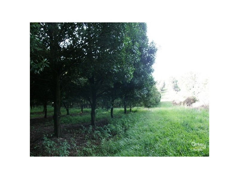 Boundary Road, Lindendale NSW 2480