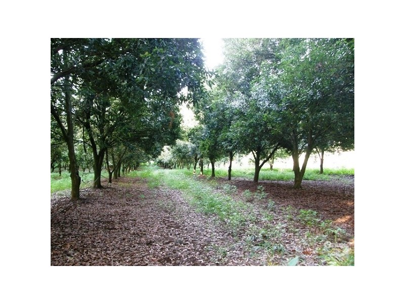 Boundary Road, Lindendale NSW 2480