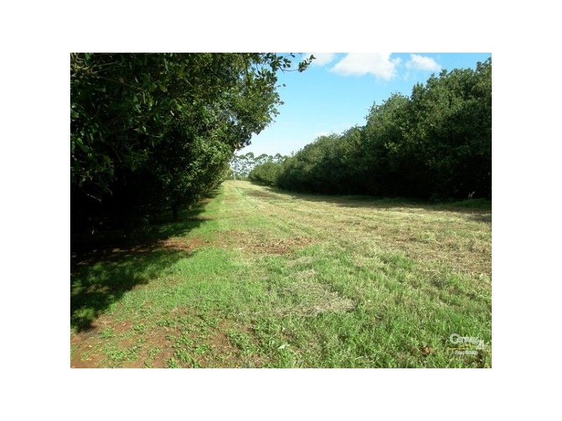 Lot 2/36 Lindendale Road, Lindendale NSW 2480