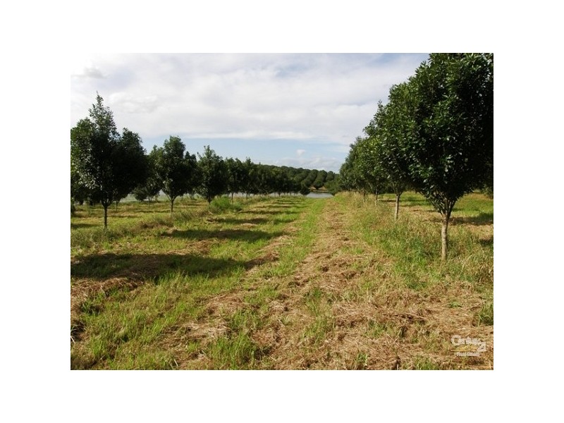 Lot 2/36 Lindendale Road, Lindendale NSW 2480