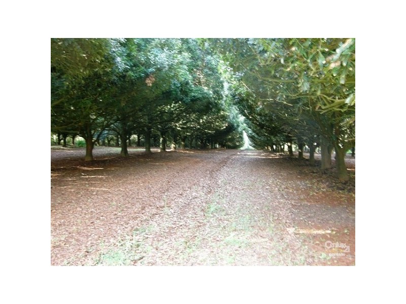 Lot 2/36 Lindendale Road, Lindendale NSW 2480