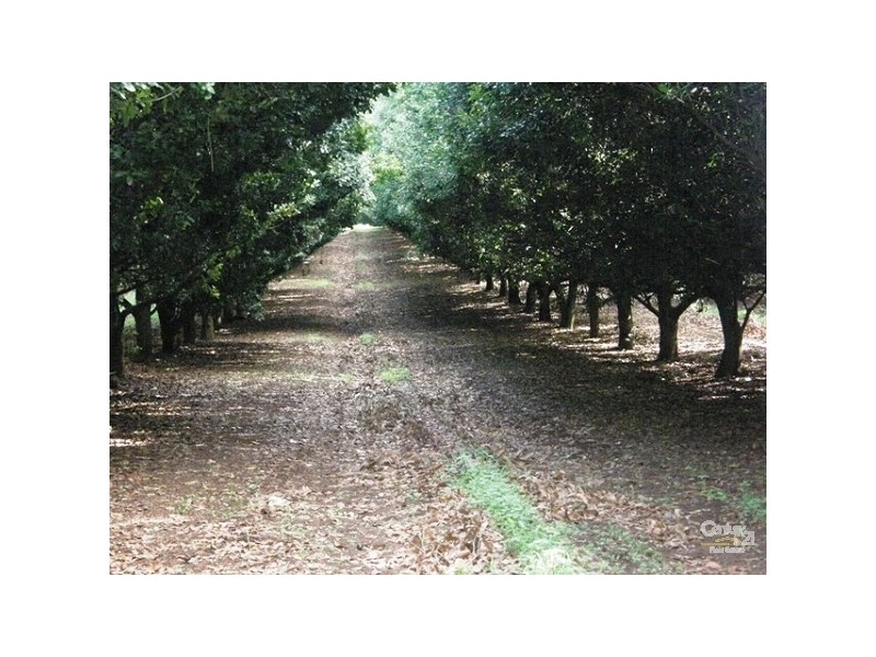 Lot 2/36 Lindendale Road, Lindendale NSW 2480