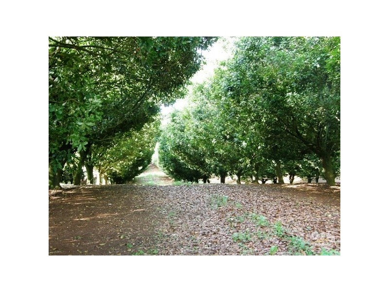 Lot 2/36 Lindendale Road, Lindendale NSW 2480