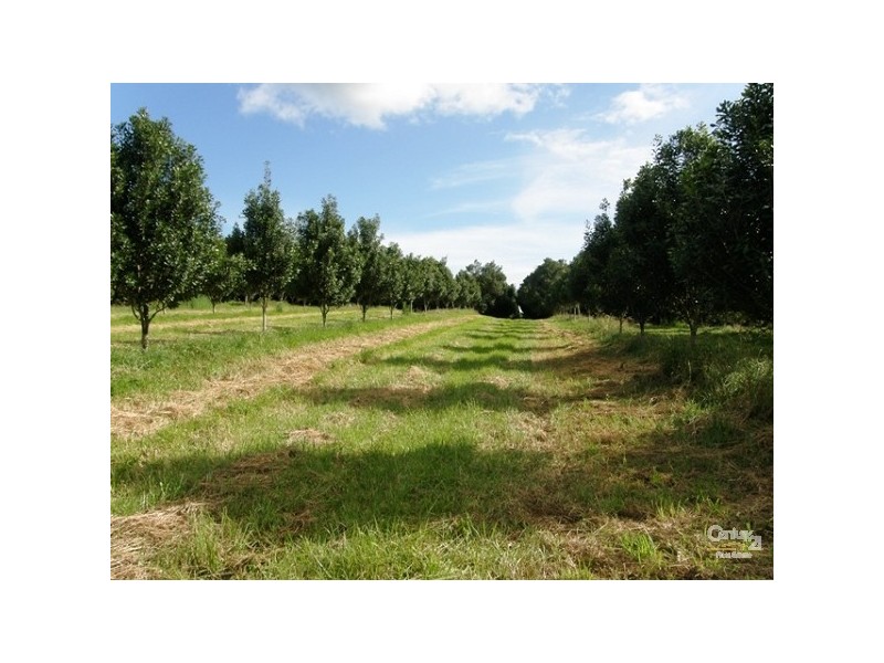 Lot 2/36 Lindendale Road, Lindendale NSW 2480