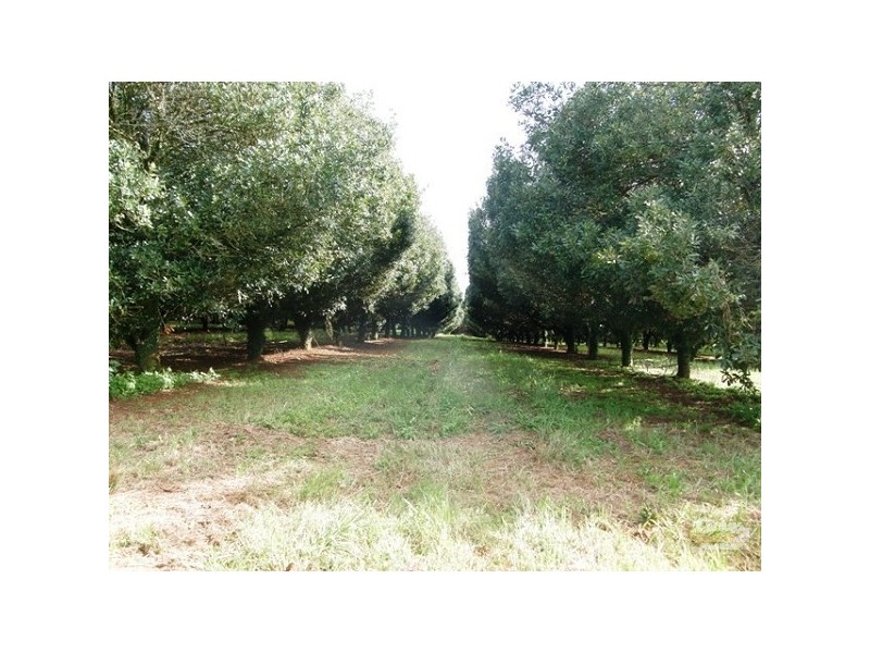 Lot 2/36 Lindendale Road, Lindendale NSW 2480