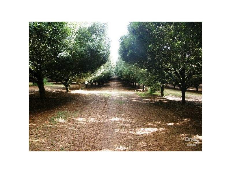 Lot 1/36 Lindendale Road, Lindendale NSW 2480