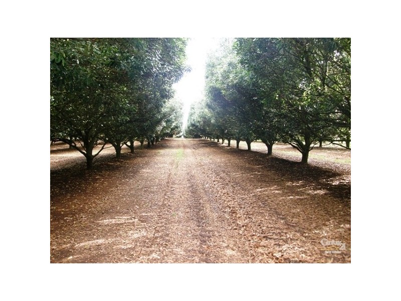 Lot 1/36 Lindendale Road, Lindendale NSW 2480