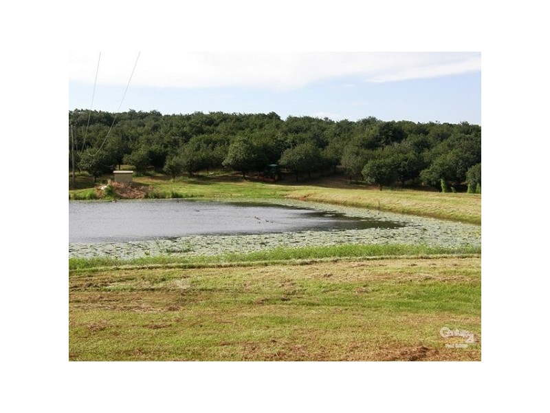 Lot 1/36 Lindendale Road, Lindendale NSW 2480