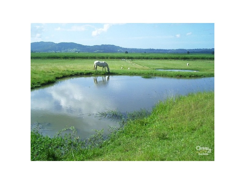 440 Eviron Road, Eviron NSW 2484