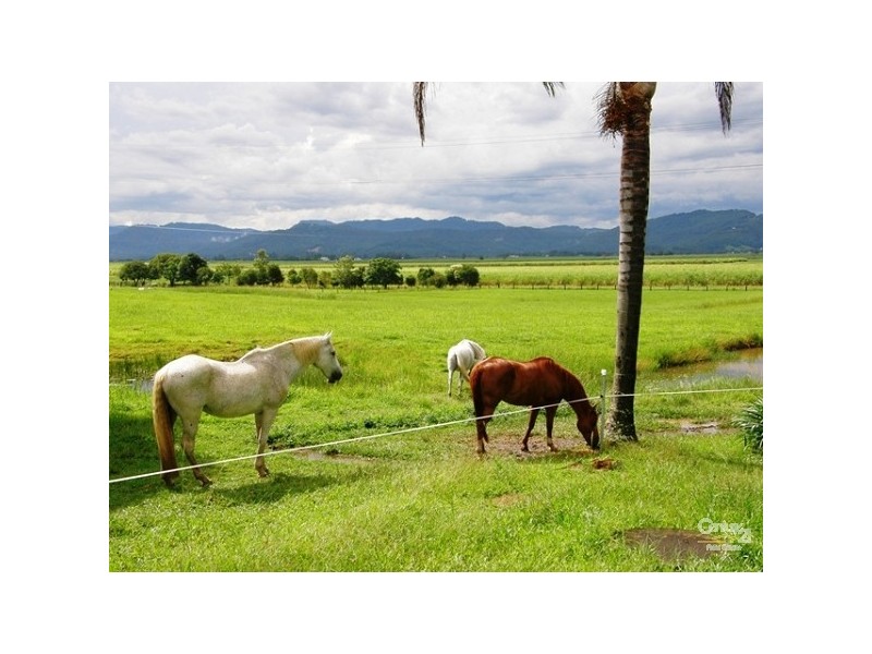 440 Eviron Road, Eviron NSW 2484