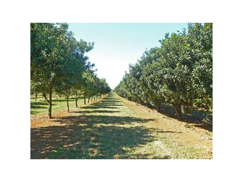 60 Rous Mill Road, Alstonville NSW 2477