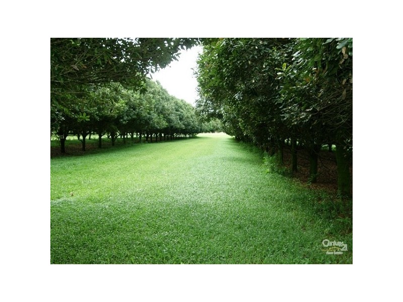 333 Dalwood Road, Alstonville NSW 2477