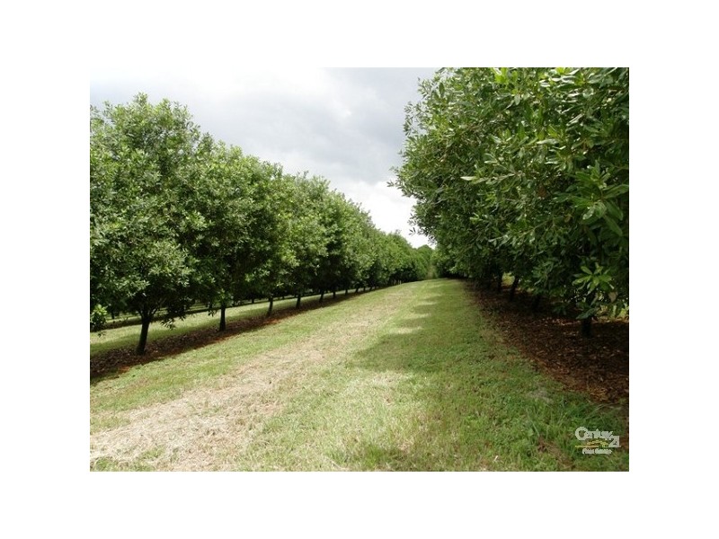 193 Channon Road, Dunoon NSW 2480