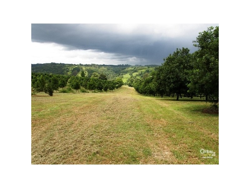 193 Channon Road, Dunoon NSW 2480