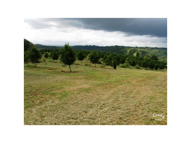 193 Channon Road, Dunoon NSW 2480