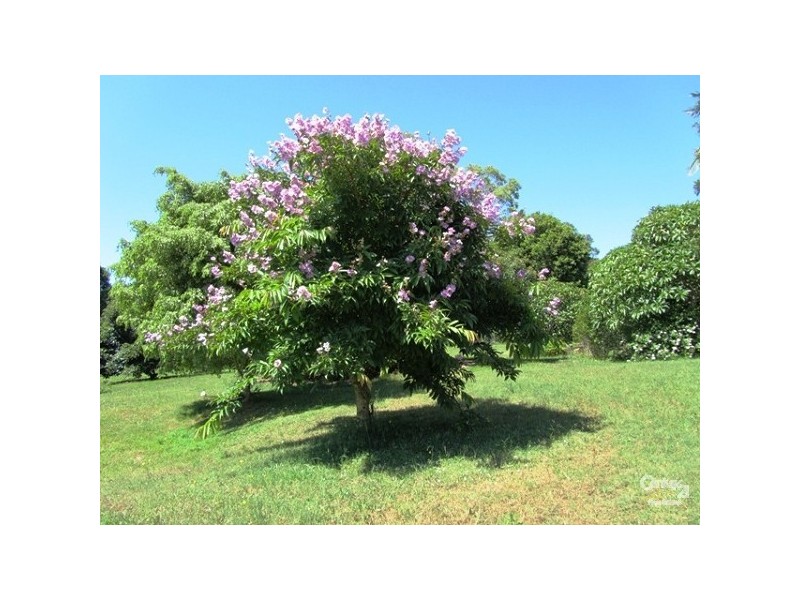 114 Whites Lane, Alstonville NSW 2477