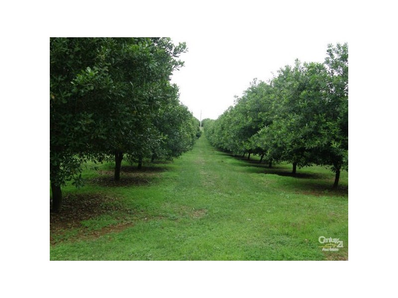 609 Dalwood Road, Alstonville NSW 2477