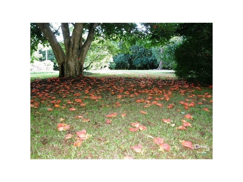 609 Dalwood Road, Alstonville NSW 2477